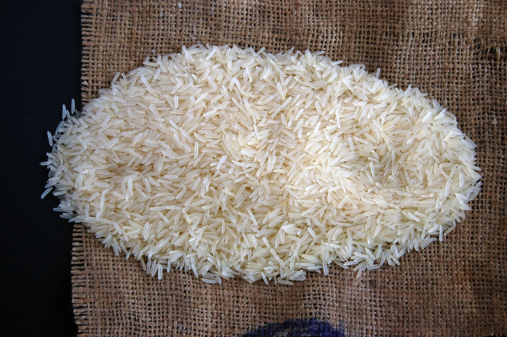 1509 Raw Basmati Rice